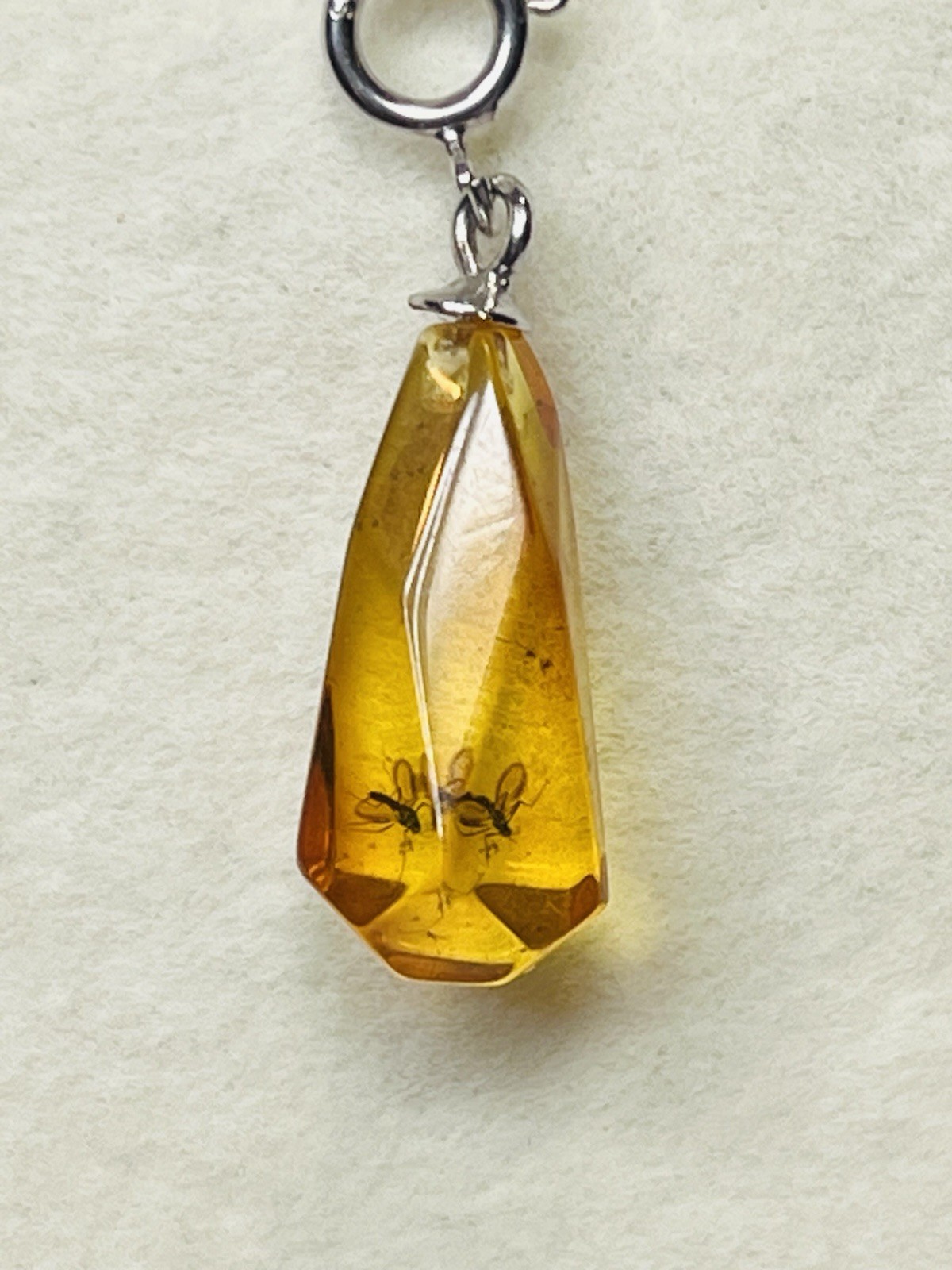 925 Sterling Silver Natural Bug Insect Gnat Baltic Amber Pendant Charm Necklace